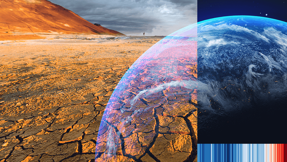 The Critical Role of NGOs in Tackling Global Climate Change: A Comprehensive Approach